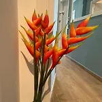 住宿加早餐酒店 Heliconia